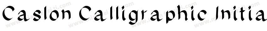 Caslon Calligraphic Initials字体转换